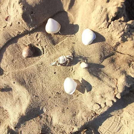 Appartement Azure Sands *