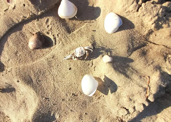 Apartment Azure Sands *